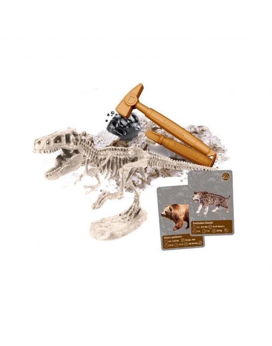 ® 64839 Dünyadaki Yaşamın Tarihi