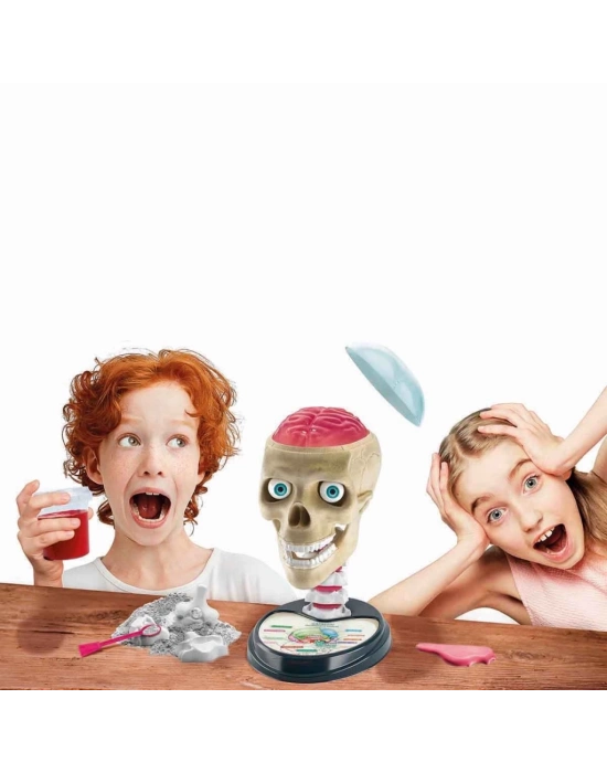 ® Çılgın Anatomi