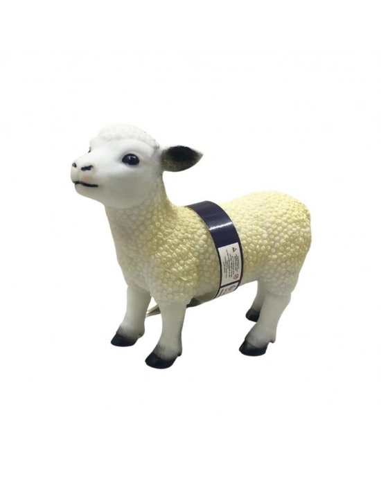 ® Çiftlik Hayvanları