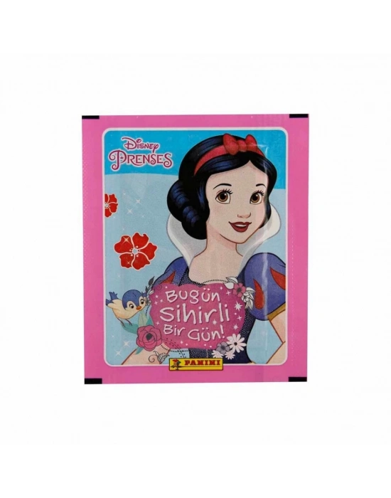 ®  Princess Çıkartma Kartları