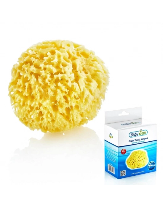 ®  Doğal Deniz Süngeri 163