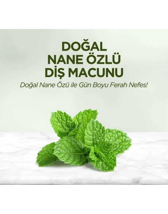 Doğal Diş Macunu 90 Gr Nane Özlü