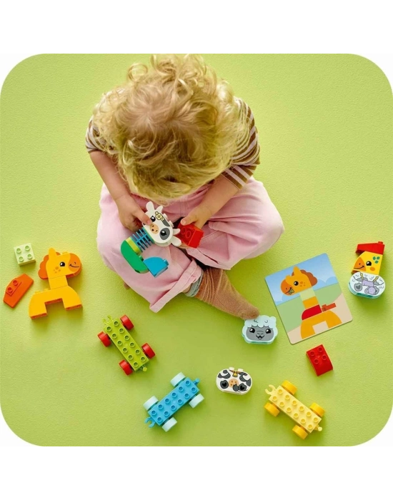 ® Hayvan Trenim 10412