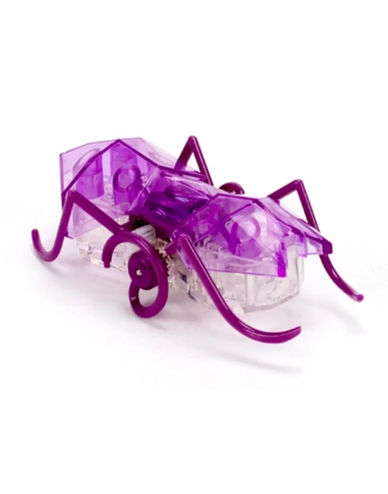 ® HexBots Nano Karınca