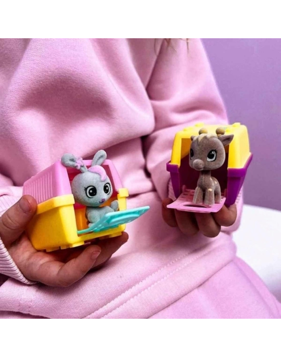 ® House Pets Evcil Hayvan Sürpriz Paket