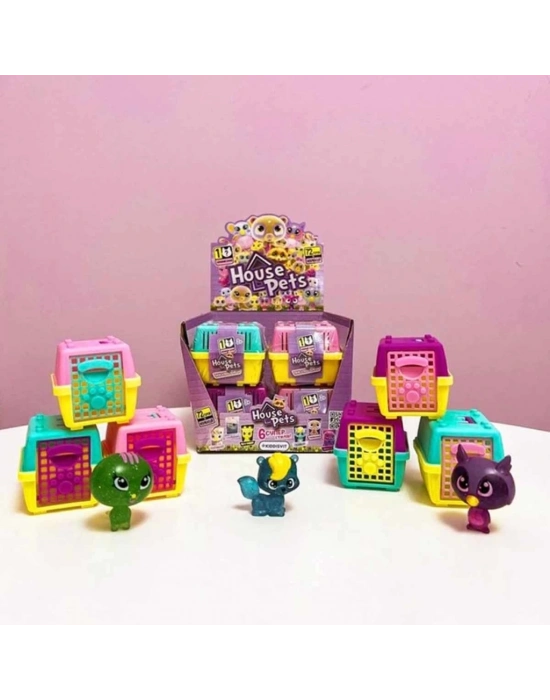 ® House Pets Evcil Hayvan Sürpriz Paket