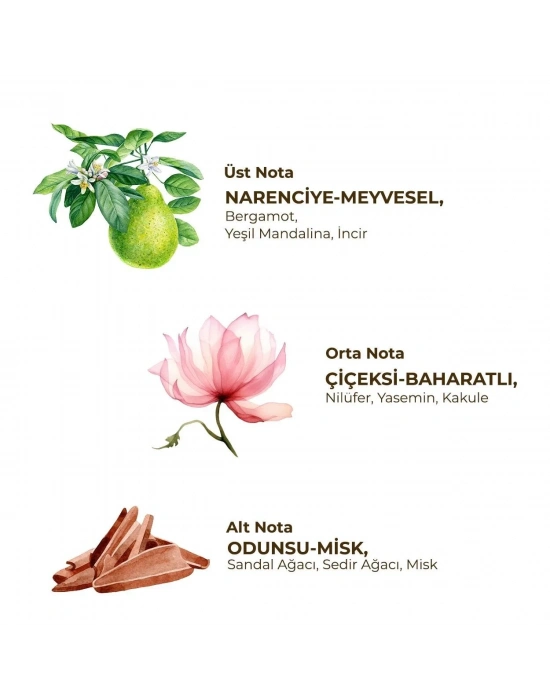 ®   Kadın Roll On Deodorant 75 ml Active