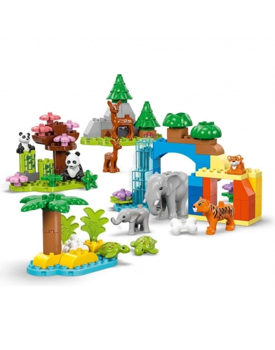 ®  Kasabası 3’ü 1 Arada Vahşi Hayvan Aileleri 10446