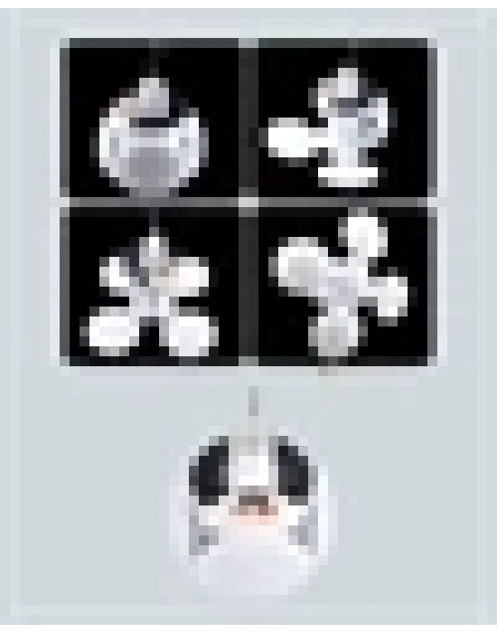 ® Katlanabilir Güneş Enerjili LED Kamp Lambası USB Şarjlı