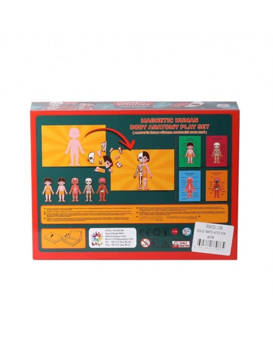 ® LC986ManyetikAktiviteİnsanAnatomisi-