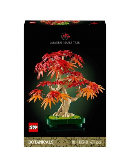 ® Botanicals Japon Kırmızı Akçaağaç Bonsai Ağacı 10348