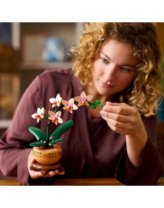 ® Botanicals Mini e 10343