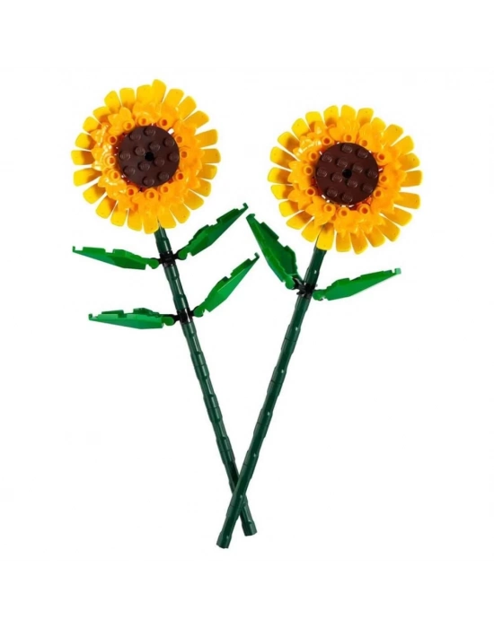 ® Iconic Ayçiçeği 40524