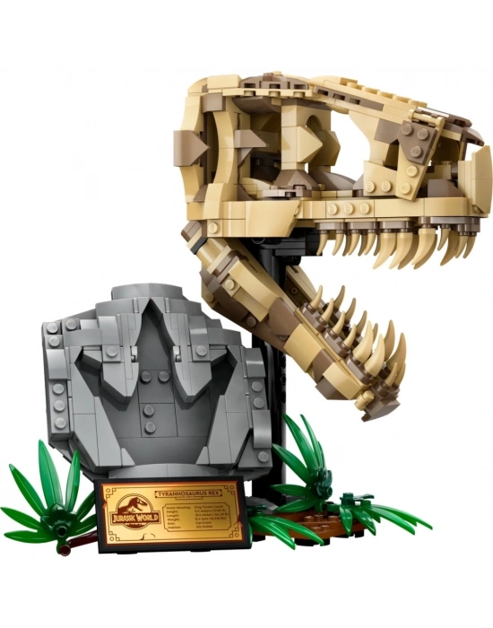 ®  Dinozor Fosilleri: T. rex Kafatası 76964