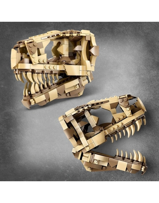 ®  Dinozor Fosilleri: T. rex Kafatası 76964