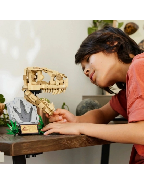 ®  Dinozor Fosilleri: T. rex Kafatası 76964