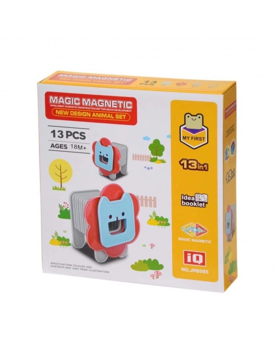 ® Manyetik Aslan Blok Seti 13 Parça