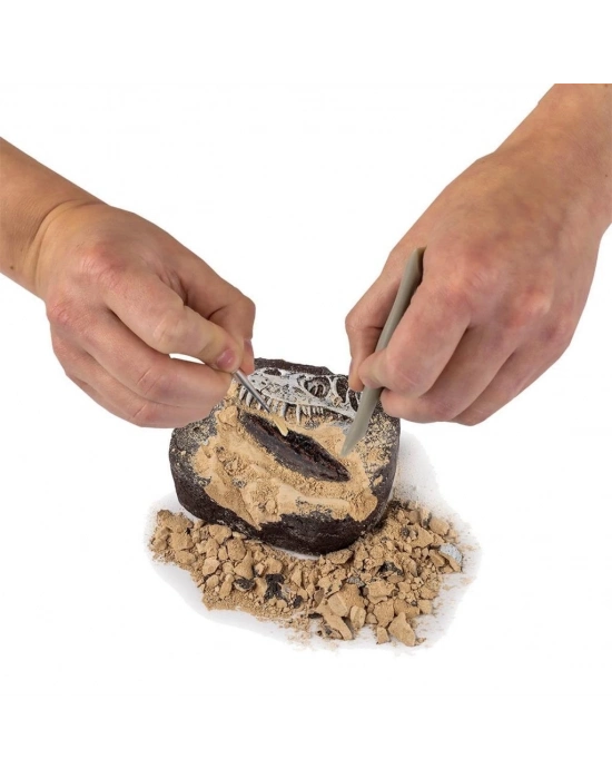 ® NAT06002Dino Kazı Kiti - RTNGDINO2 +8 yaş