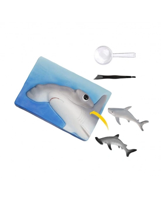 ® NAT07002 Köpek Balığı Bulma Kiti - TRHAMSHDIG +6 yaş
