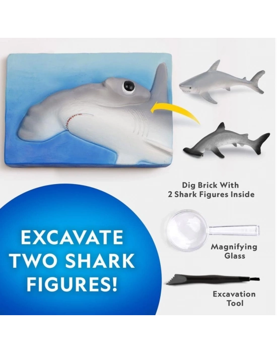 ® NAT07002 Köpek Balığı Bulma Kiti - TRHAMSHDIG +6 yaş