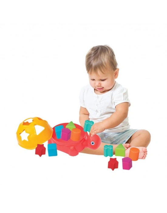 ® 03450 KAPLUMBAĞA BULTAK