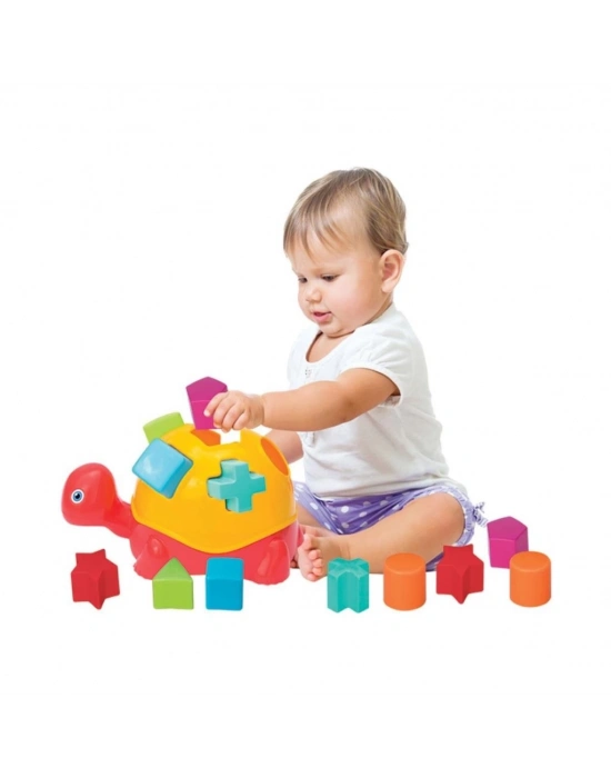 ® 03450 KAPLUMBAĞA BULTAK