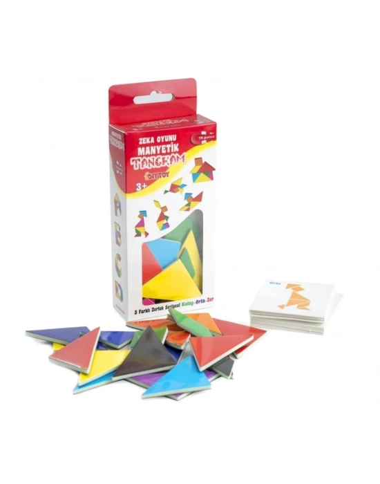 ® 1321 MANYETİK ZEKA OYUNU