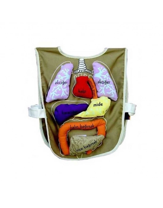 ® AND-5011 ORGAN ÖNLÜĞÜ