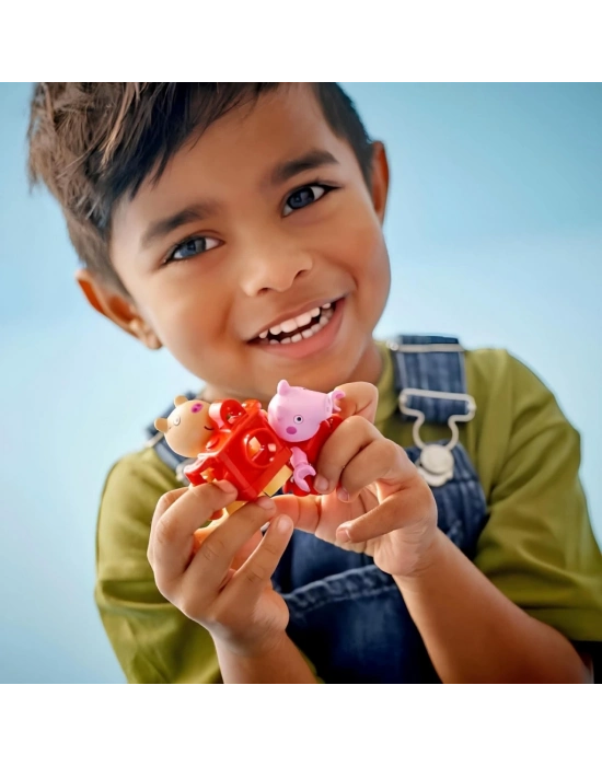 ®  Peppa Pig Doğum Günü Evi 10433