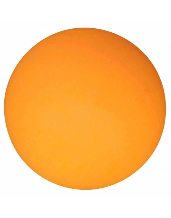 ® Pinpon Raket Seti S02000170