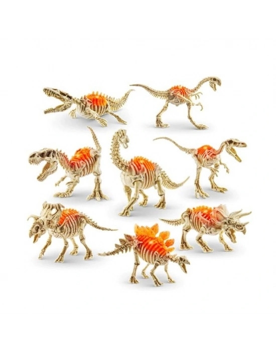 ® RBV03000 Sürpriz