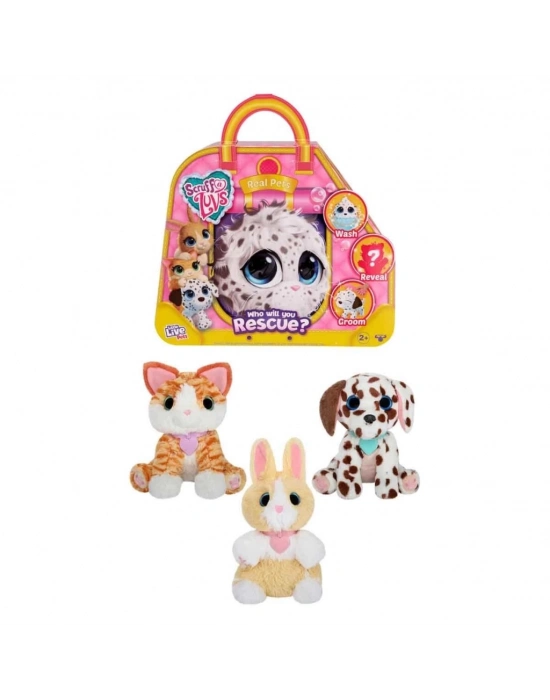 ® Klasik Seri Kutu CRU10000