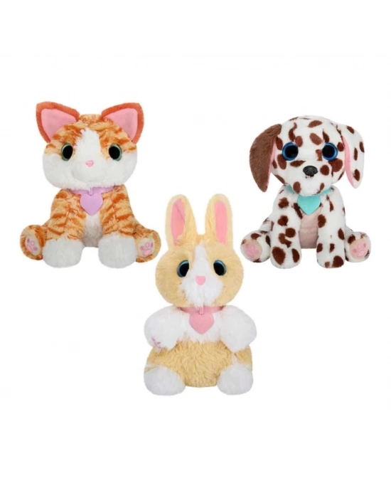 ® Klasik Seri Kutu CRU10000