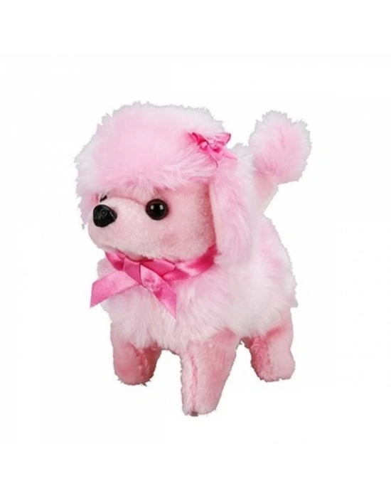 ®  Sevimli Köpek Poodle