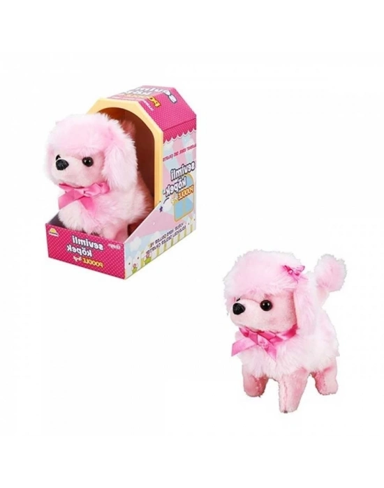 ®  Sevimli Köpek Poodle