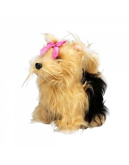 Sevimli Köpek Terrier