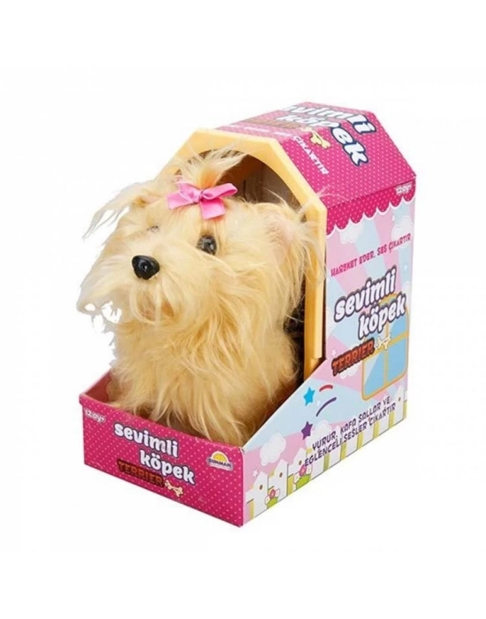 Sevimli Köpek Terrier