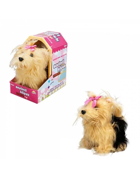 Sevimli Köpek Terrier