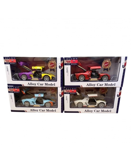 ® XHD-W9502-3 KUT ÇEKBIRAK 1 24 BUHAR ATAN