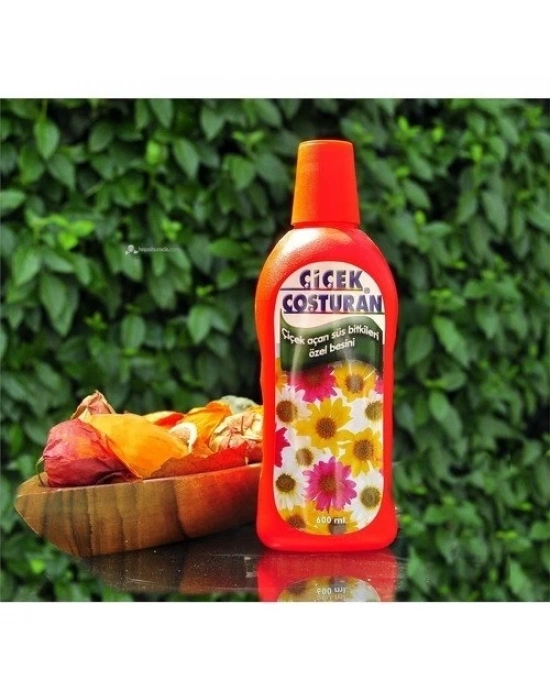 ® Çiçek Coşturan Çiçek Açan Süs Bitkileri İçin