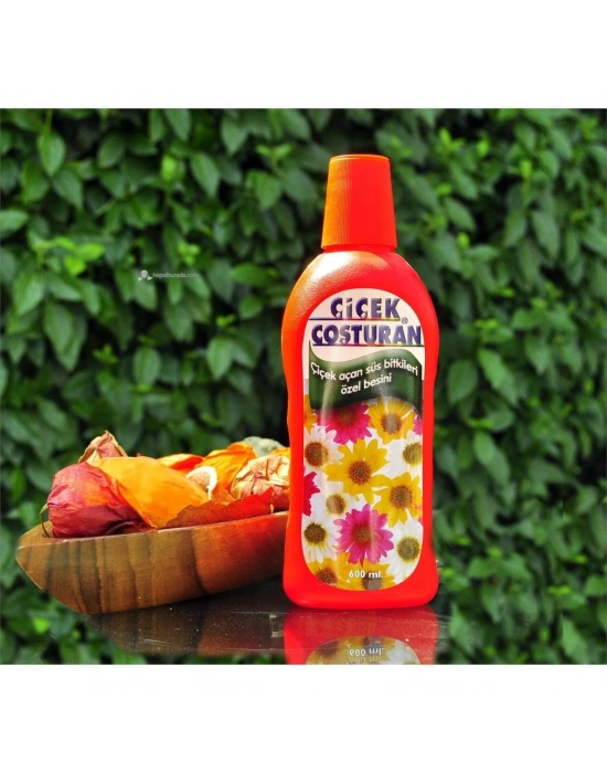 ® Çiçek Coşturan Çiçek Açan Süs Bitkileri İçin