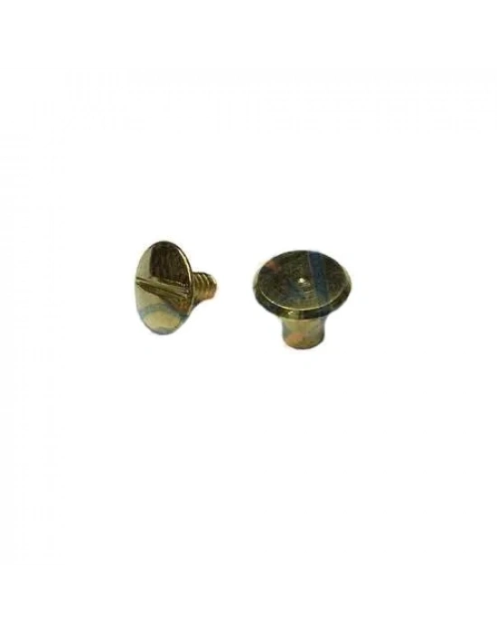 ÇOK SATAN Cilt Menü, Katalog, Kartela Vidası, 6 Mm - Sarı, 100 Adet