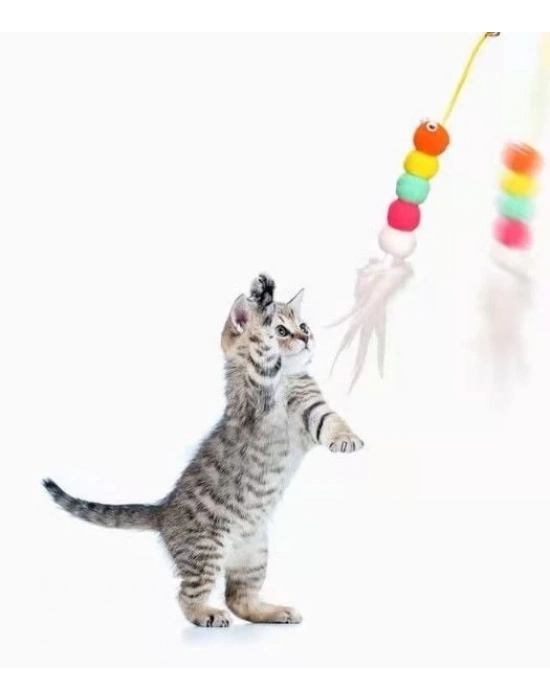 ÇOK SATAN Elastik Kendinden Yapışkanlı Solucan Kedi Oltası