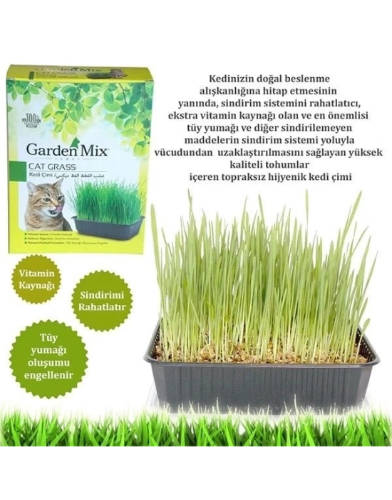 ÇOK SATAN Garden Mix Kedi Çimi