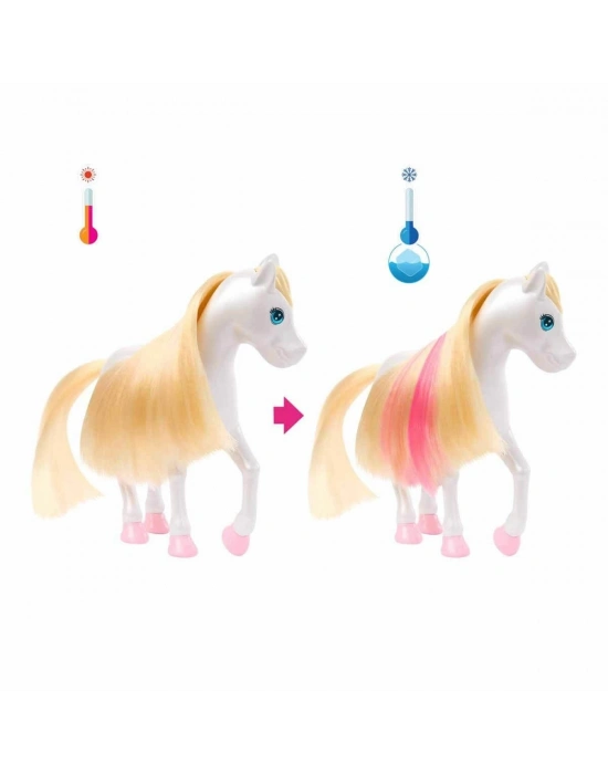 ÇOK SATAN HNT67 Barbie A Touch Of Magic Chelsea ve Pegasus Oyun Seti