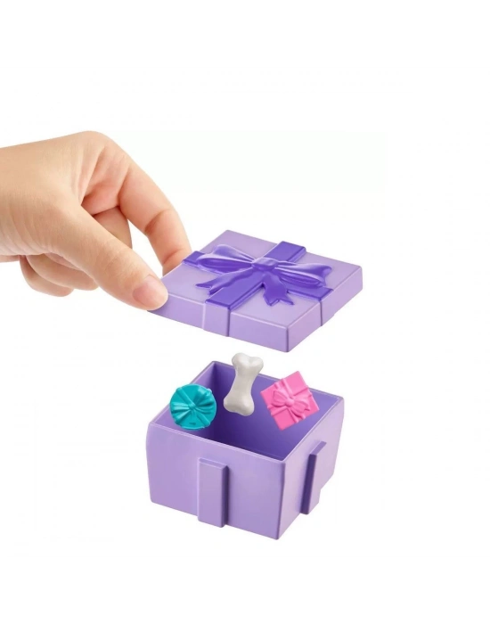 ÇOK SATAN JCC33 Polly Pocket Pollynin Doğum Günü Partisi Paketi