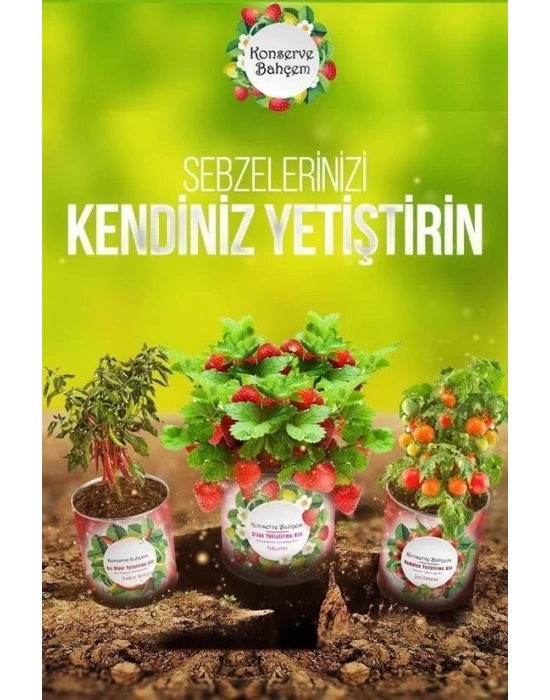 ÇOK SATAN Konserve Bahçem Evde Konservede Sakız Kabak Yetiştirme Kiti