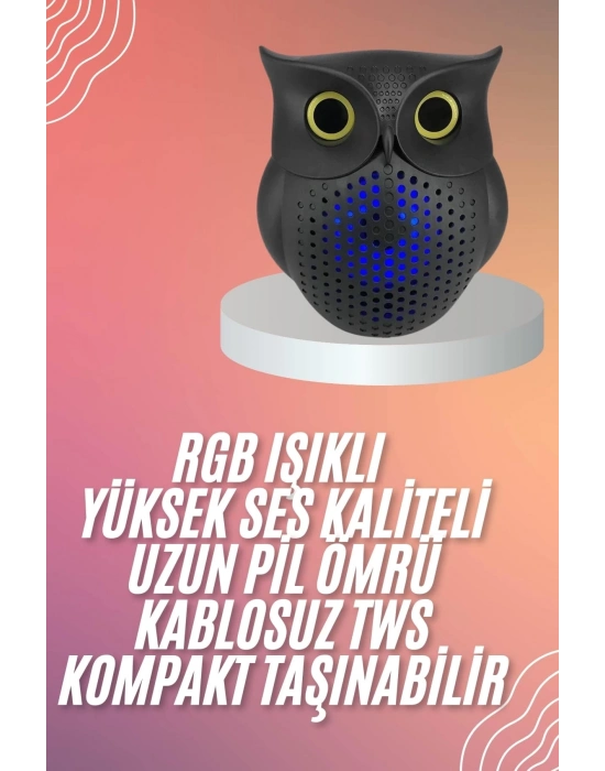 ÇOK SATAN Müzik Çalar Bluetooth Hoparlör Speaker 5.0 Kablosuz Baykuş Görünümlü