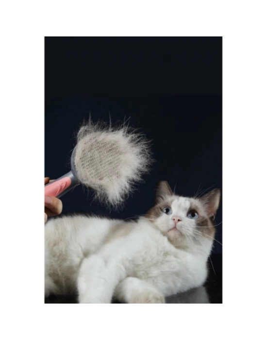 ÇOK SATAN Otomatik Tuşlu Kendini Temizleyen Kedi Köpek Tarağı