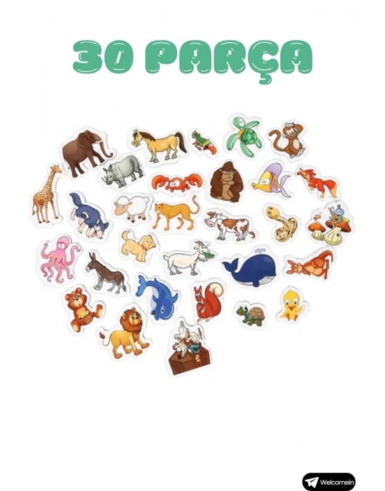 ÇOK SATAN Oyuncak Manyetik Mıknatıslı 30 Parça Hayvanlar 26 Parça Sebze Meyveler Eğitici Set Magnet
